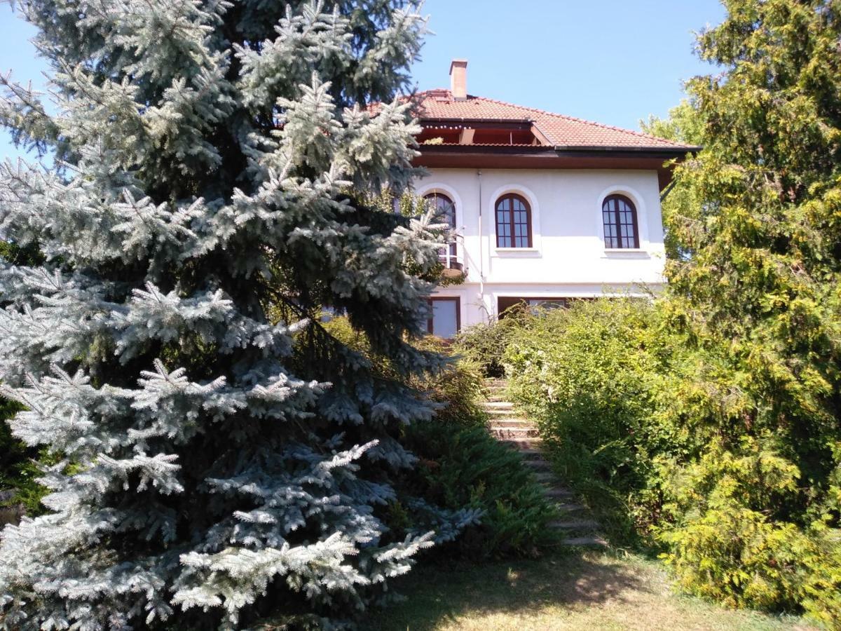 Co-Housing Community Hotel Budakalász Kültér fotó