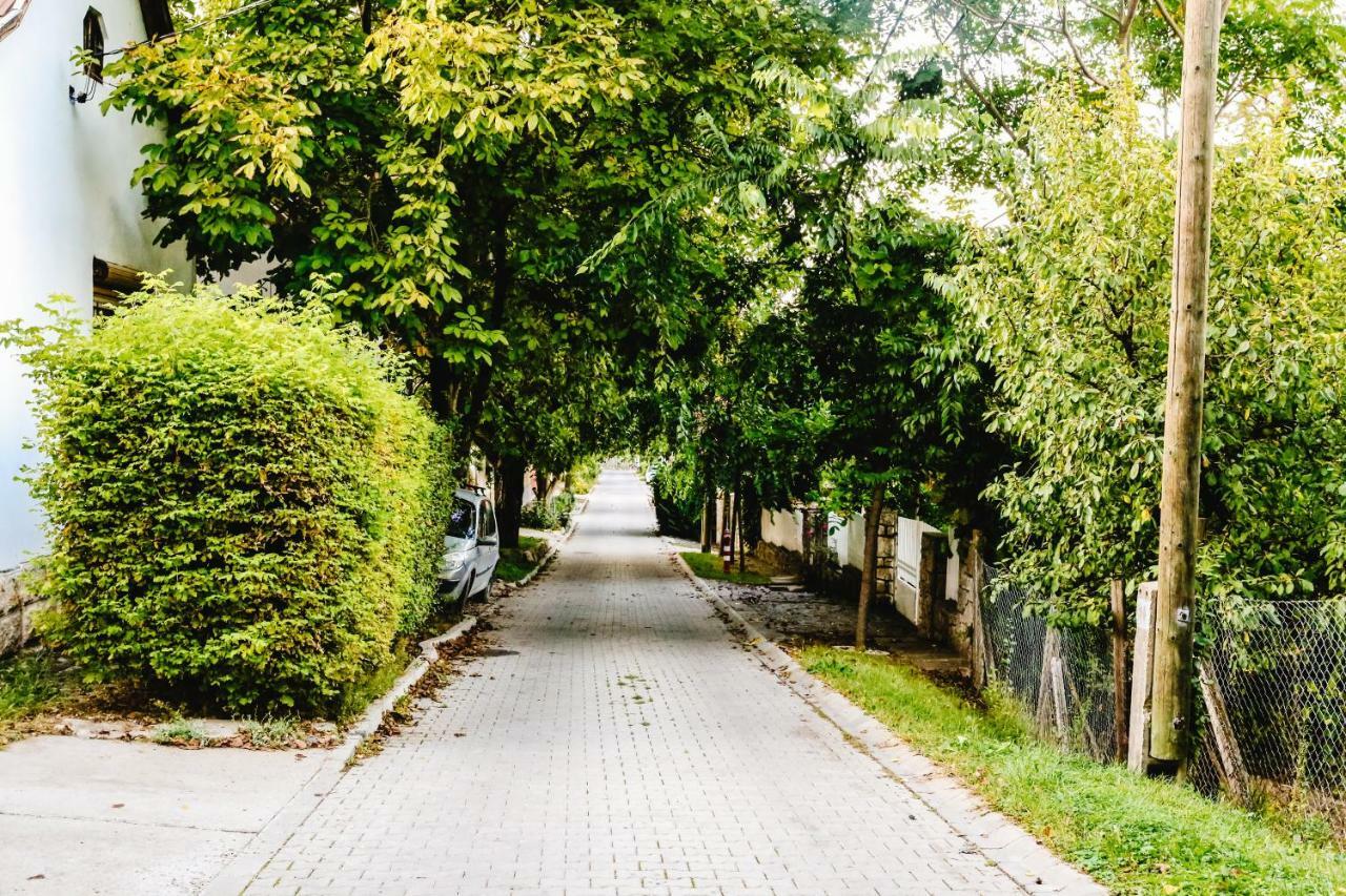 Co-Housing Community Hotel Budakalász Kültér fotó